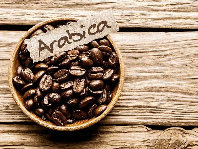Kaffee Bohne Arabica