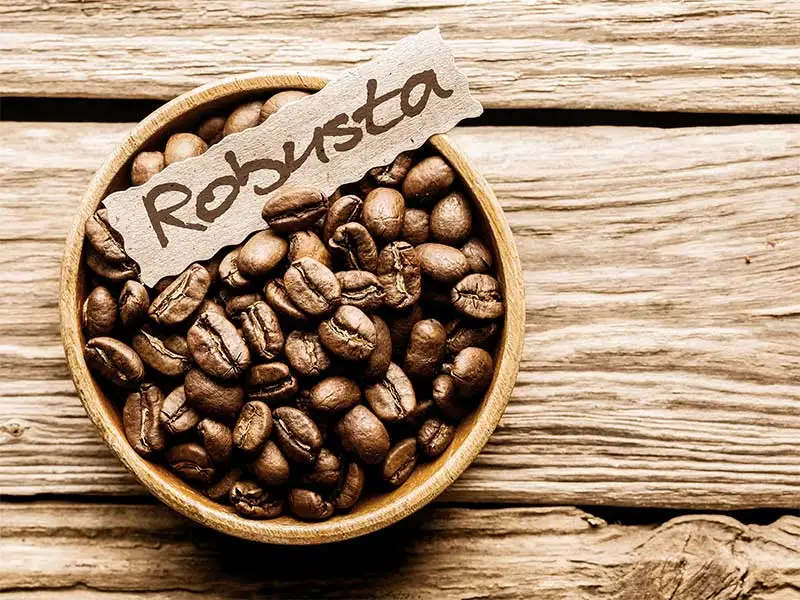 Kaffee Bohne Robusta