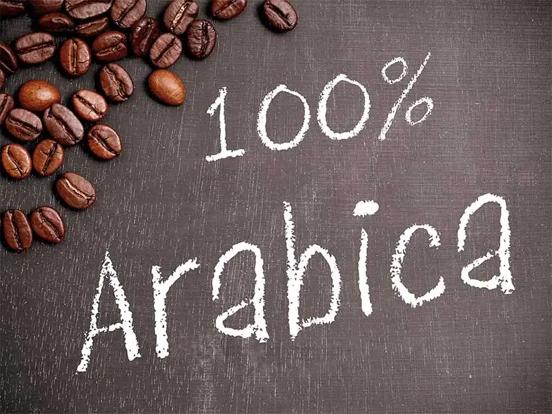 Kaffee Arabica