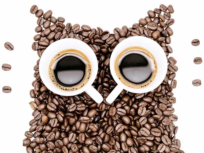 Kaffee eule