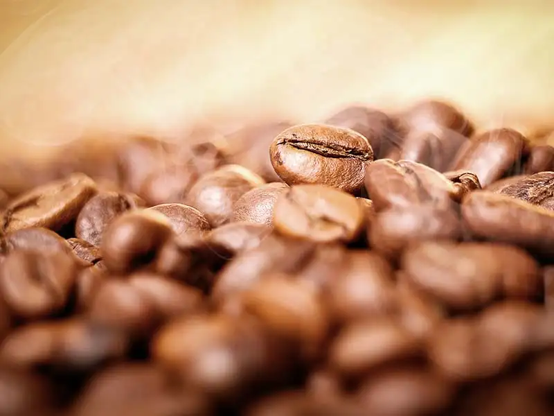 kaffeebohne