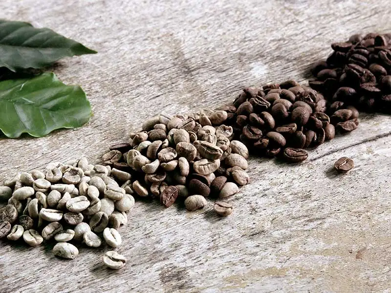 kaffeebohne